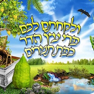 ארבעת המינים - יהלומים מלא