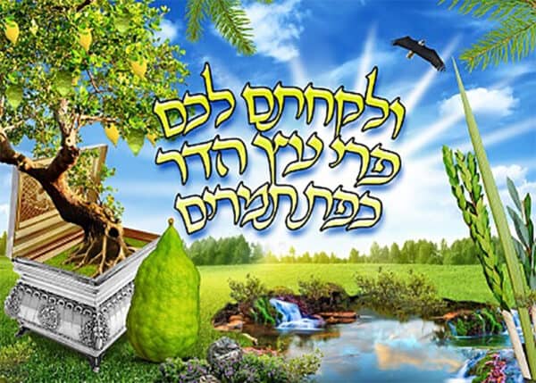 ארבעת המינים - יהלומים מלא