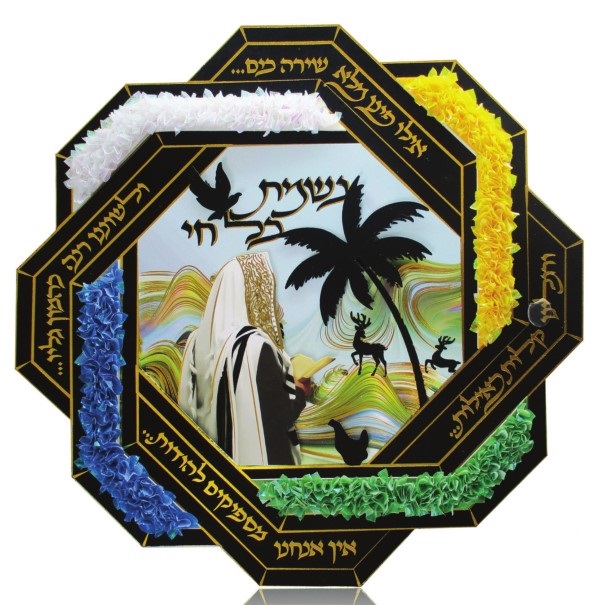 נשמת
