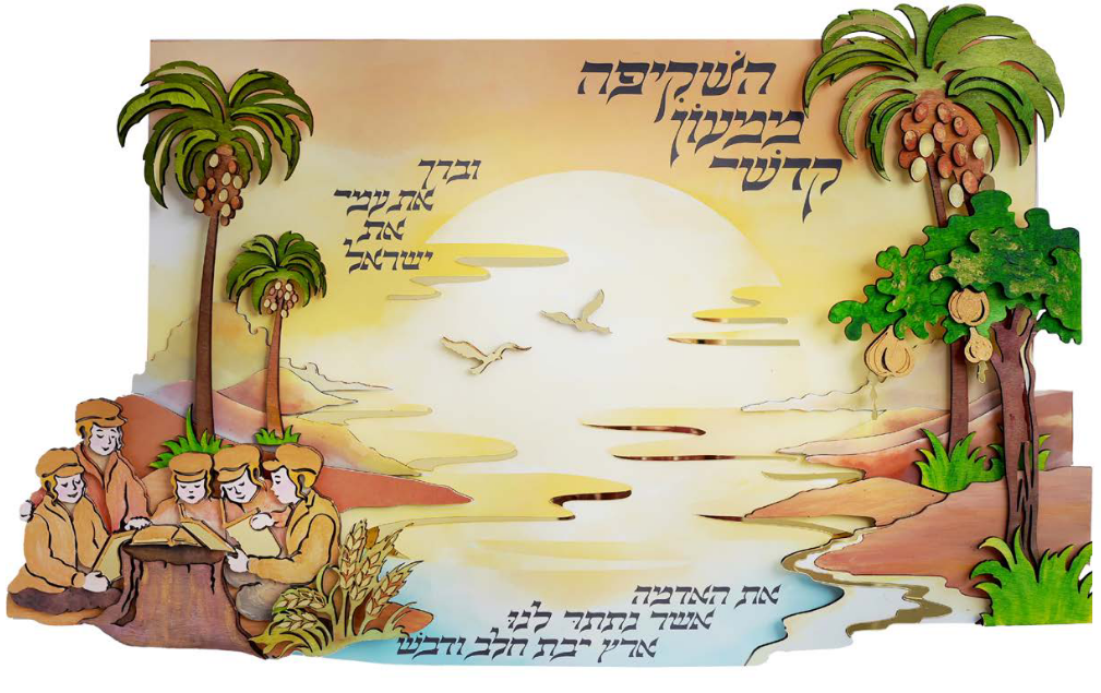 השקיפה
